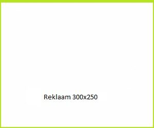 Reklaam 300*250