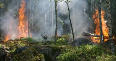 Eesti rohetehnoloogia abil kliimamuutuste mõjusid leevendama