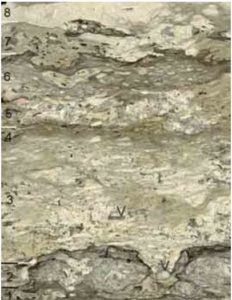 Veel Lääne-Saaremaa Vesiku kihtidest