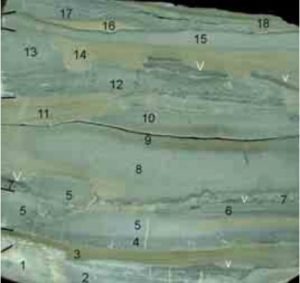 Veel Lääne-Saaremaa geoloogia