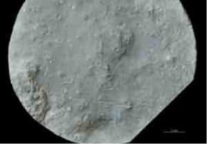 Veel Lääne-Saaremaa Vesiku kihtidest