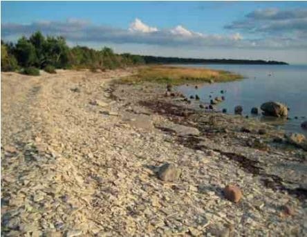 Vesiku kihtide paljandis Elda poolsaare läänerannal Saaremaal