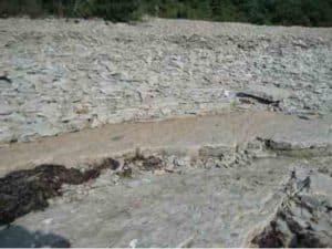 Vesiku kihtide paljandis Elda poolsaare läänerannal Saaremaal