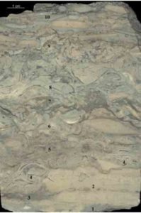 Lääne-Saaremaa Vesiku kihtide eripärasid uudistamas