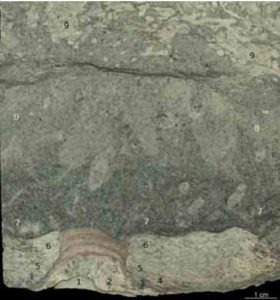 Lääne-Saaremaa Vesiku kihtide eripärasid uudistamas