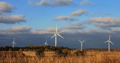 Valitsus soovib muuta elektrituulikute kõrguspiiranguid Kirde-Eestis. Õhuseiresüsteemi muudetakse. Roheelektri vähempakkumised tuulikutasu