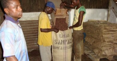 Komisjon käivitab kestlikuma kakaotootmise algatuse