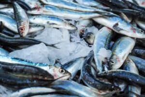 Eestis enim püütud kalades jääb saasteainete sisaldus lubatud piiridesse