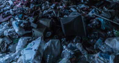 Jäätmete kogus ja koostis Eestis 2020