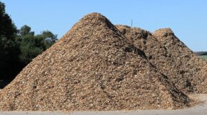 Sooja- ja elektritootmiseks kasutatav biomass peab olema keskkonnasäästlik