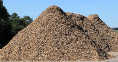 Sooja- ja elektritootmiseks kasutatav biomass peab olema keskkonnasäästlik